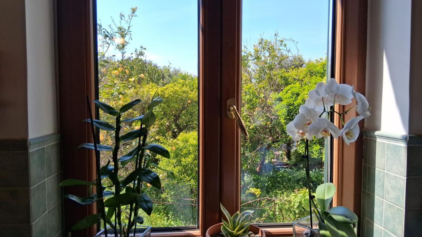 Il Giardino Dei Gigli Apartment Мета Екстериор снимка