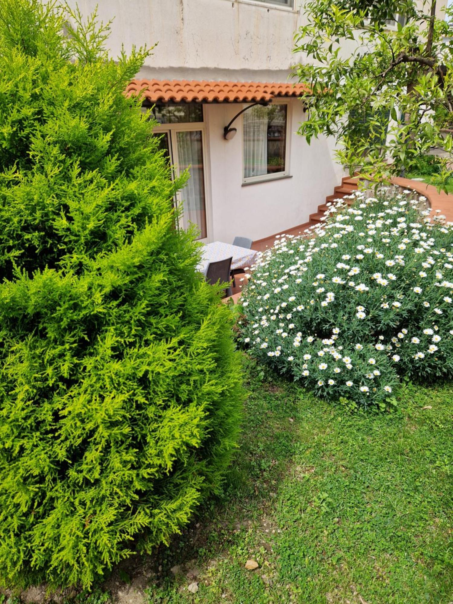 Il Giardino Dei Gigli Apartment Мета Екстериор снимка